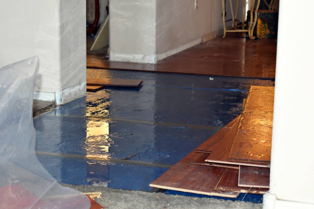 Professional Water Damage Repair technician working in Aubrey, TX